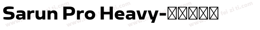 Sarun Pro Heavy字体转换